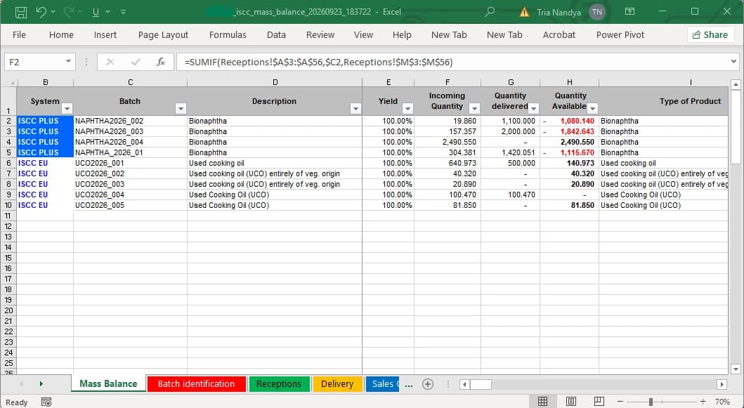Excel, with the formulas intact